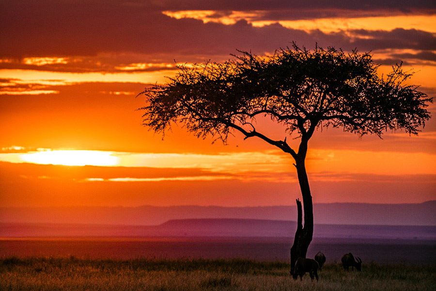 Afrika & Indischer Ozean