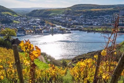 Weinberge Flussblick herbstliche Mosellandschaft Stadt